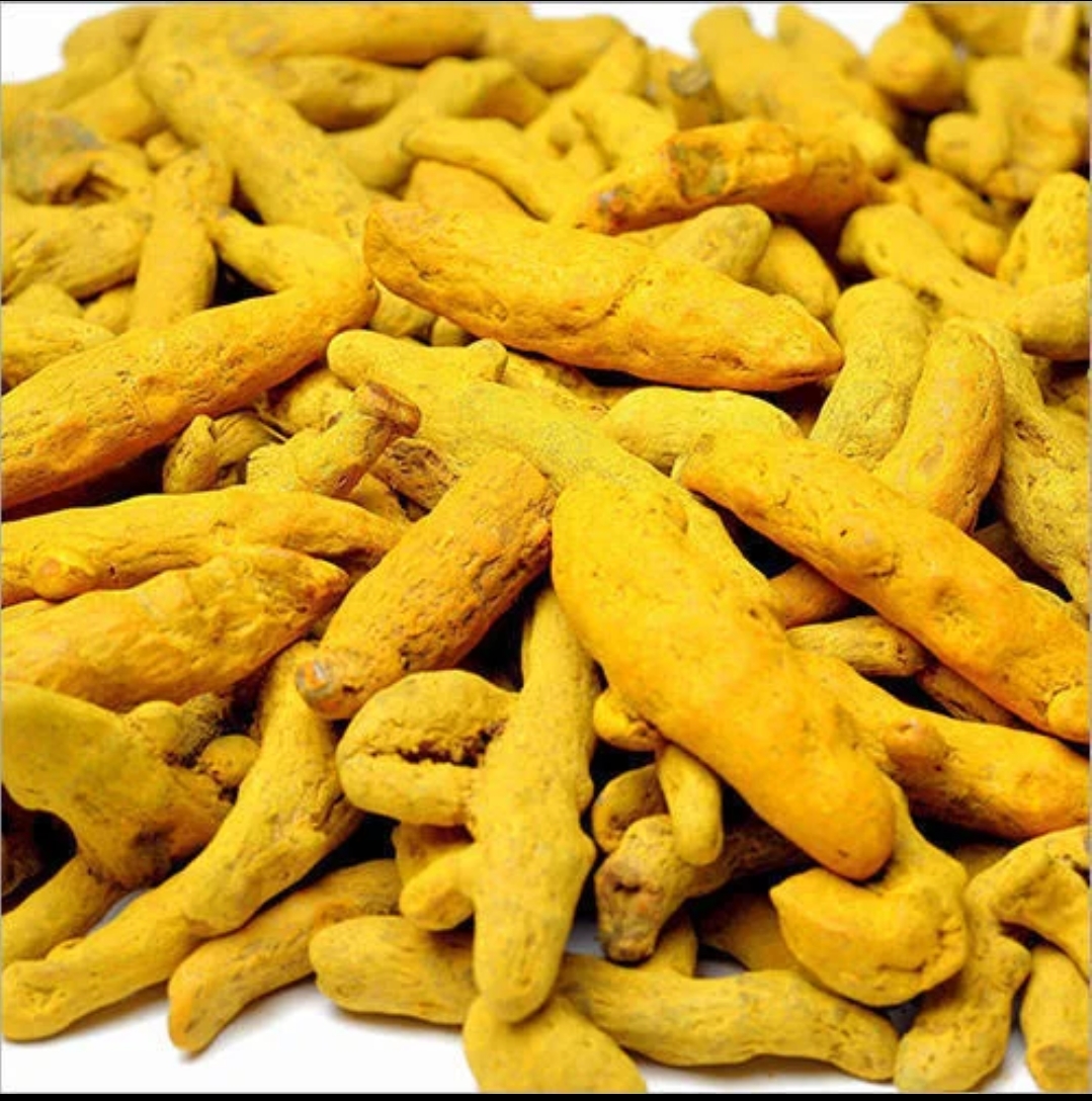 Double Polished Turmeric Fingers
